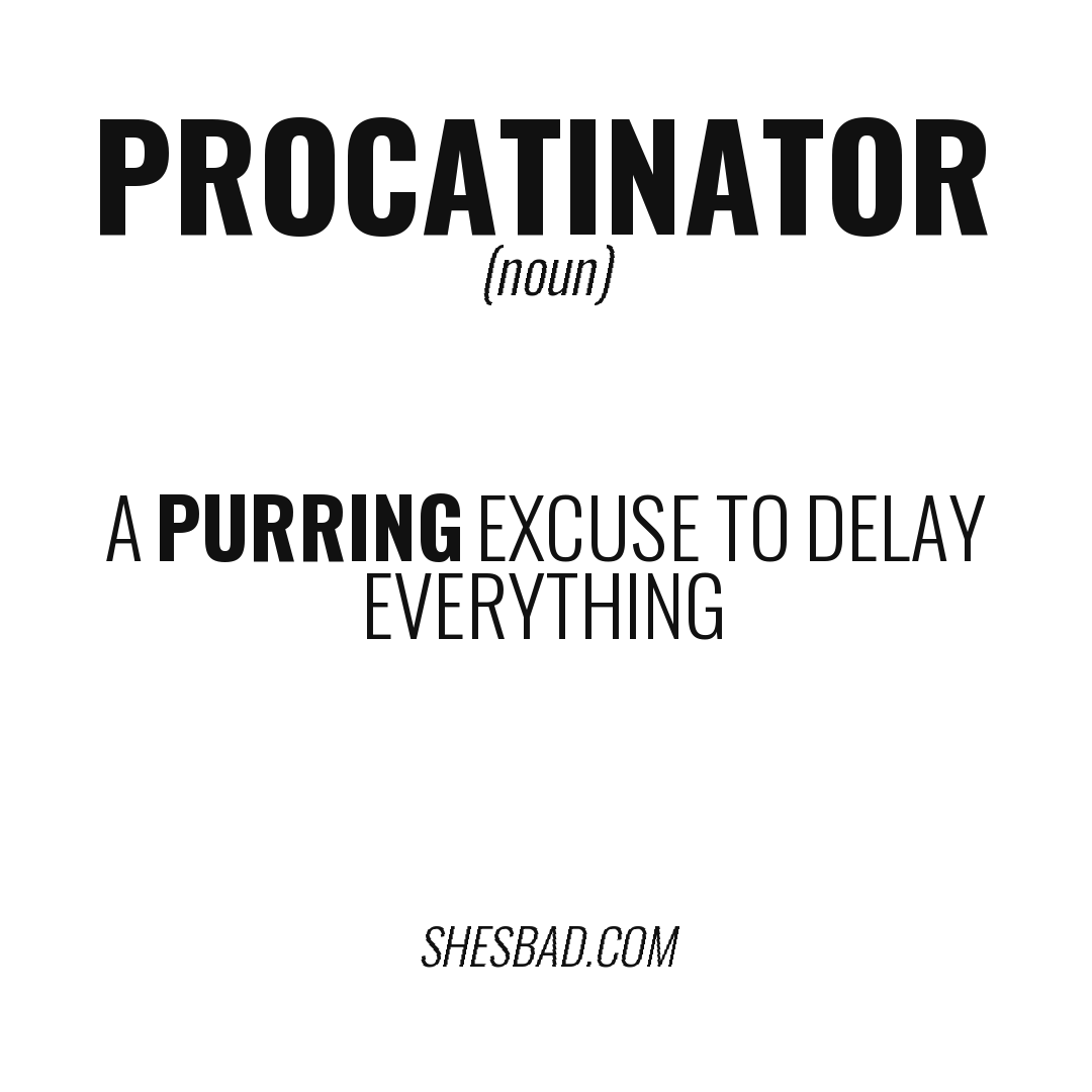 procatinator — A purring excuse to delay everything